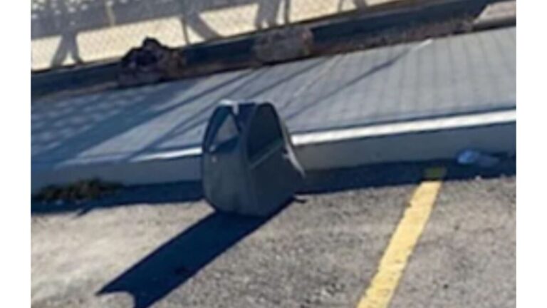 Las Vegas Man Notices Abandoned Carrier In Parking Lot, Then Looks Closer And His Heart Sinks