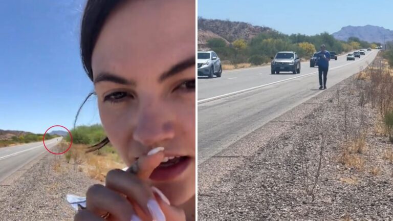 Man Jumps Out Of Car After Noticing Something Lying In The Middle Of A Road In California