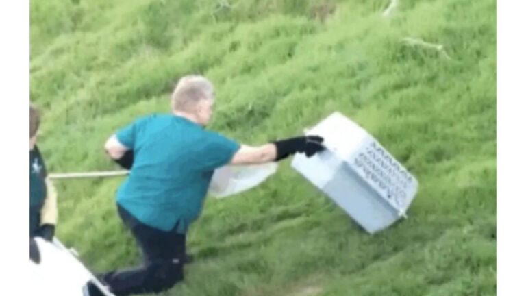 California Man Spots Something In Wire Fence And Realizes A Wild Baby Is Trapped Inside