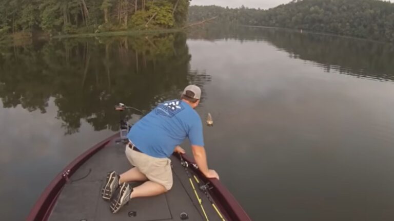 Friends Fishing In Alabama Suddenly See Something Unexpected Swimming Toward Them At Full Speed