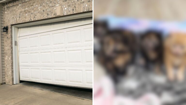Michigan Man Walks Into Garage And Freezes At What Someone Left Behind