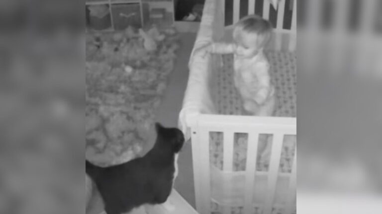 Ohio Mom Peeks At Baby Cam In The Middle Of The Night And Catches An Unforgettable Scene