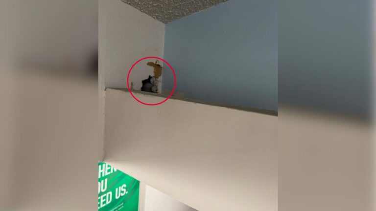 California Office Workers Stunned After Unbelievable Discovery In The Ceiling