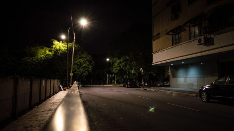 Florida Officer On Patrol Hears Faint Sound Near Streetlight And Feels Compelled To Investigate