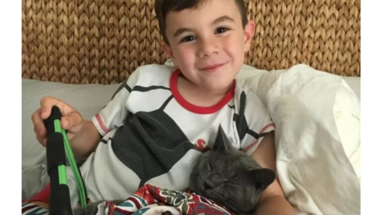 Boy Adopts Sad Cat From Oregon Shelter But Their Beautiful Bond Ends In Heartache