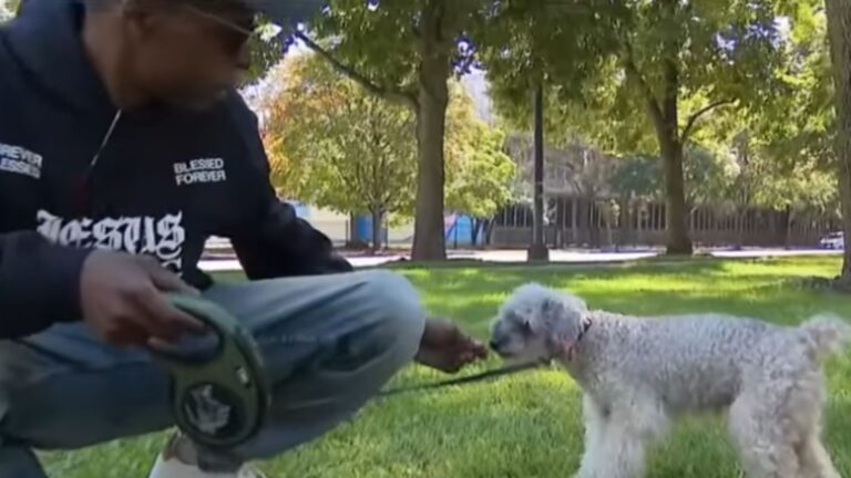 Chicago Man Reunites With His Dog After He Was Found A Decade Later In Indiana