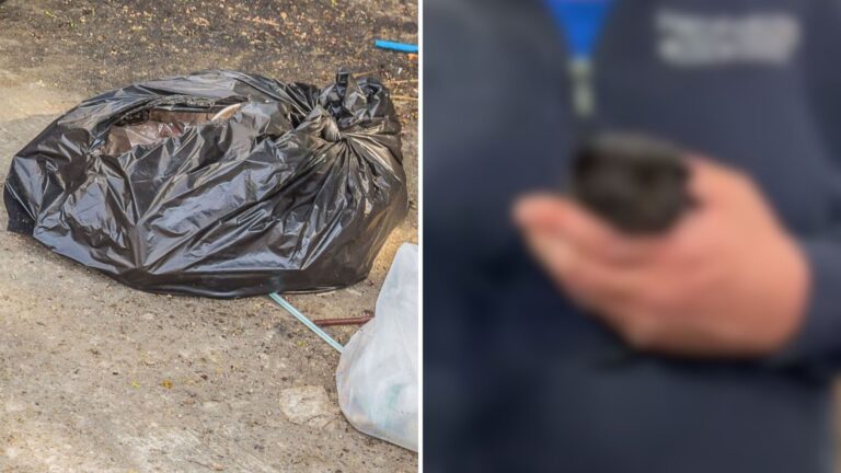 Driver Sees Trash Bag Tossed From Car In Pennsylvania, Then Freezes When It Starts To Move