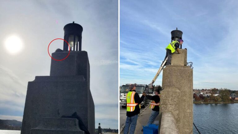 Odd Shape On Bridge Pier In Pennsylvania Catches Driver’s Attention And Leads To Dramatic Rescue