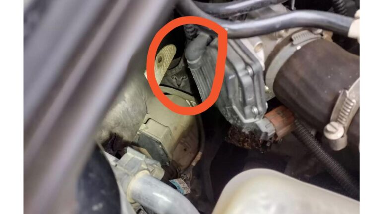Faint Cries Lead Georgia Family To A Heartbreaking Discovery Under The Car Hood