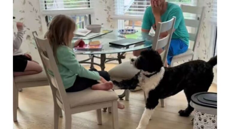 Ohio Family Noticed Dog Staring At Their Daughter And The Next Moment Left Them In Shock