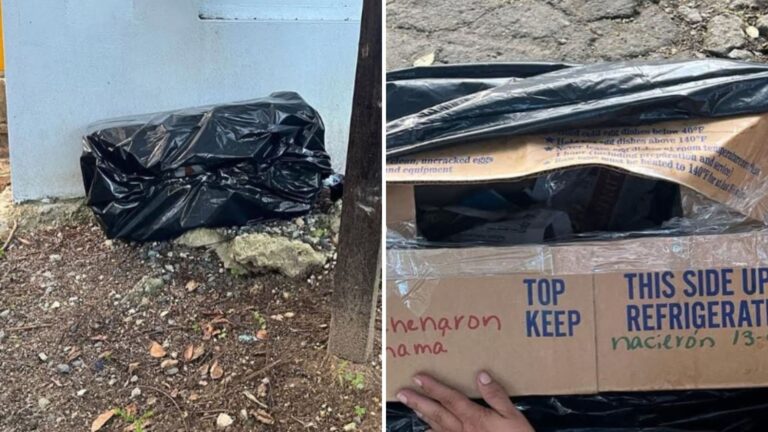 NY Shelter Staff Find A Trash Bag Near The Entrance And The Discovery Is Devastating