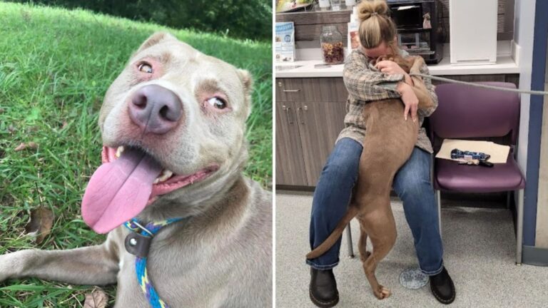 After Months In Atlanta Shelter, Dog Finally Hears His Real Name And Everything Changes