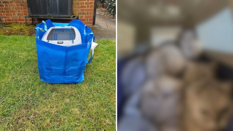 Ikea Bag Left In Parking Lot Leaves Texas Rescuers Shaken After Peeking Inside