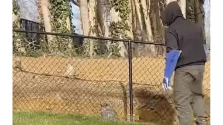 NYC Man Noticed A Motionless Figure In His Yard And Something About It Instantly Felt Wrong