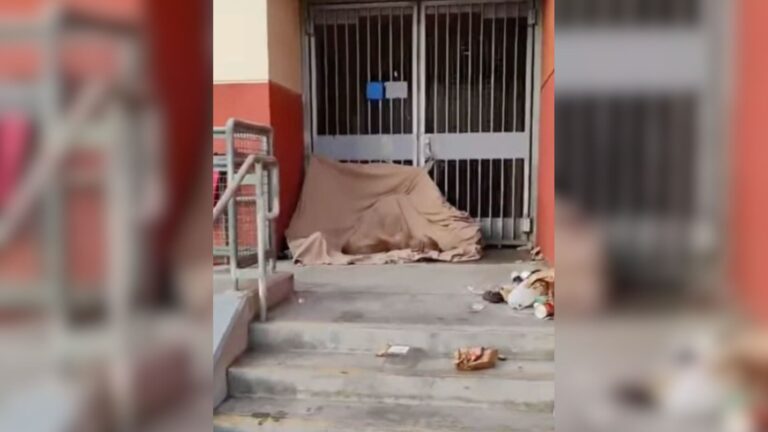 Local Sees Odd Shape On Tarp Near California Metro Station, Then Notices A Flicker Of Movement
