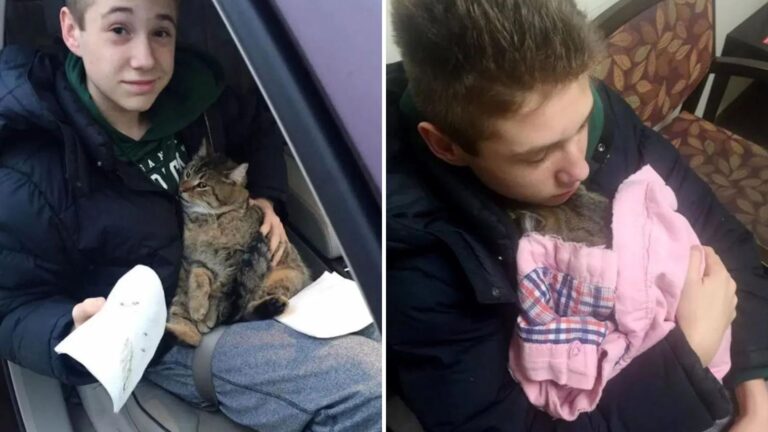Teen Watches Cat Thrown From Moving Car In Pennsylvania And His Next Move Shocks Everyone