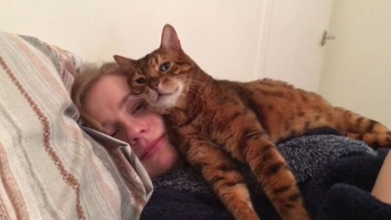 Michigan Man Decides To Meet His Cat With His Girlfriend, Watch The Cat’s Priceless Reaction