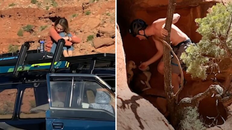 Couple Followed Yipping Sounds In Colorado Canyons And What Happened Next Was Unforgettable