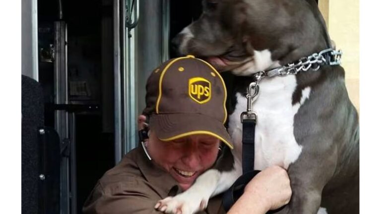 California UPS Driver Meets Friendly Pittie During Deliveries, Then One Day Fate Steps In
