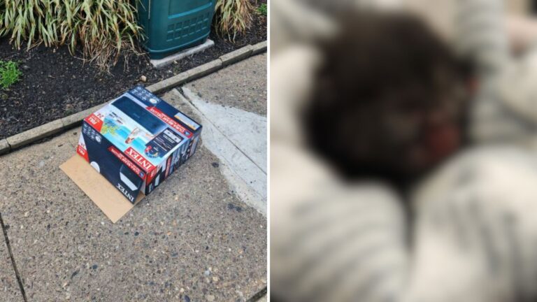 Man Almost Walks Past A Box On The Sidewalk In Philadelphia Until A Sound Makes Him Stop