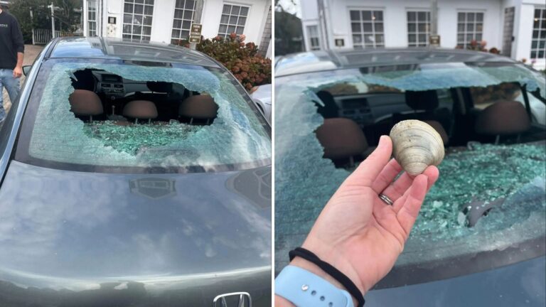 Massachusetts Woman Finds Her Car Window Mysteriously Smashed, Not Prepared For What Follows