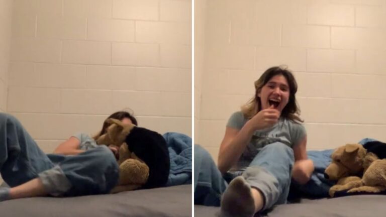 Texas Cat Owner Stages Fake Attack And Her Cat’s Reaction Leaves Her Completely Shocked