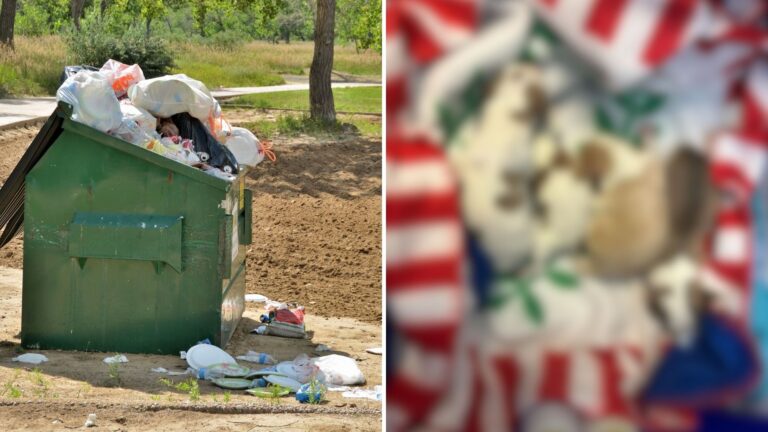 Virginia Worker Hears Soft Whimpers From Dumpster And Immediately Goes To Check It Out