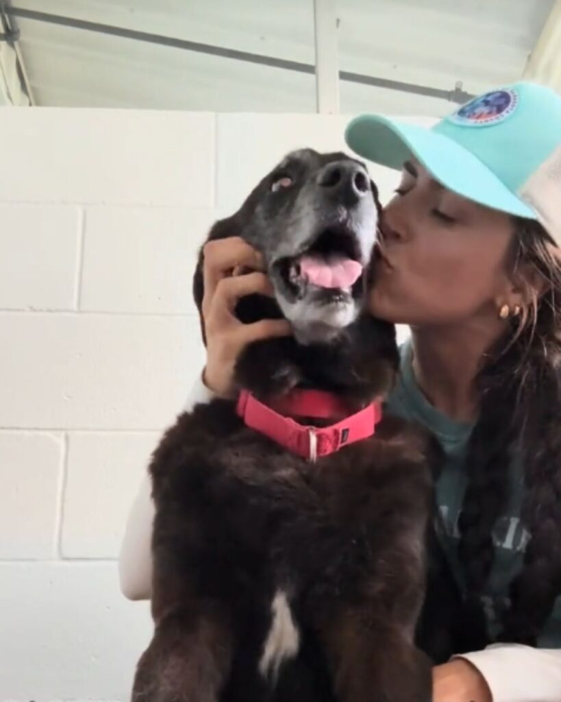 woman kissing a black dog