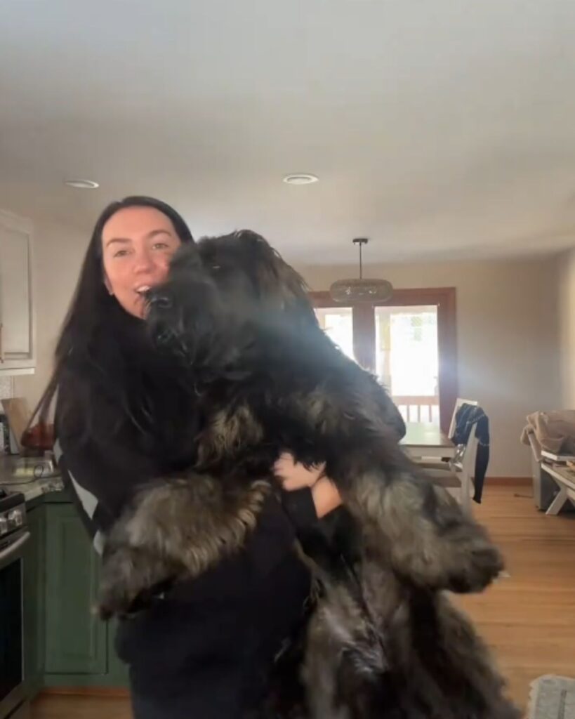 woman carrying a giant dog