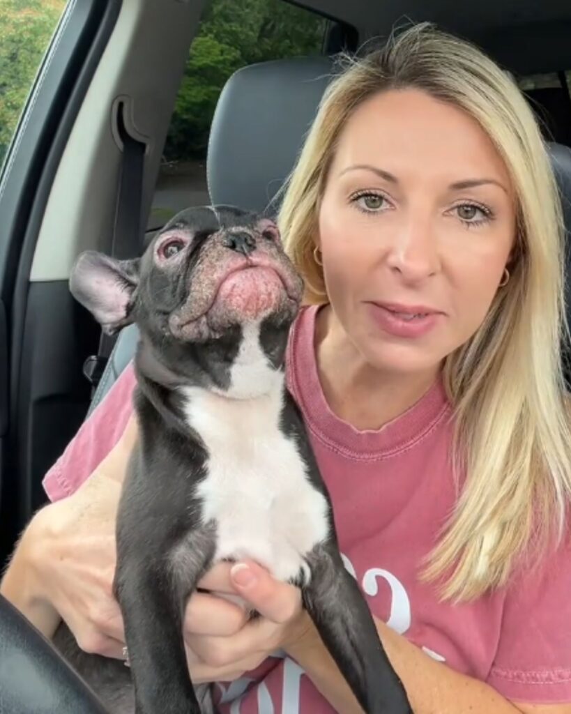 blonde woman holding a french bulldog puppy