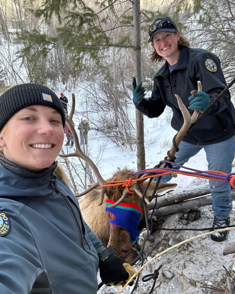 two women smiling while rescuing an elk stuck in ropes