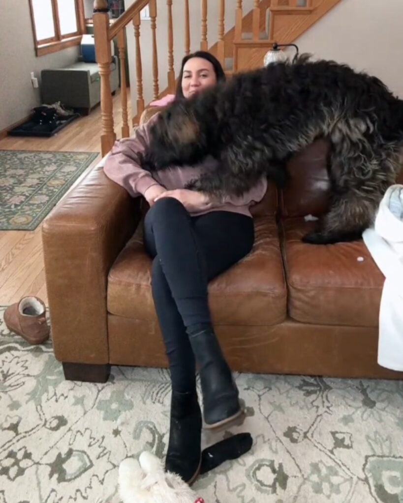 woman sitting on a sofa with a big dog