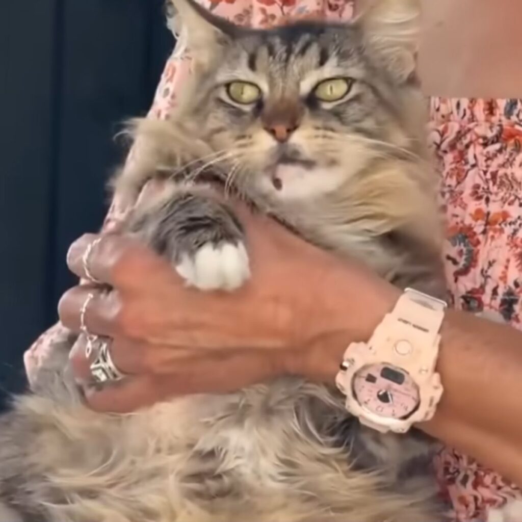 woman holding a cat