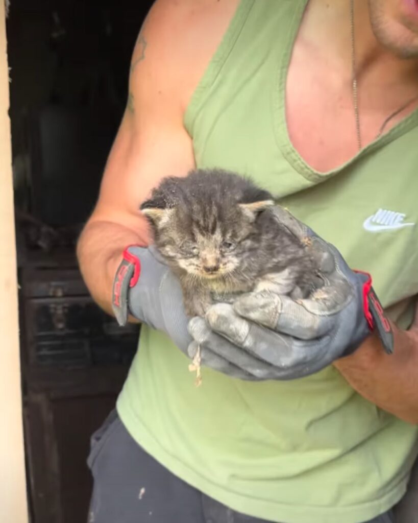 man holding a kitten with crusted eyes