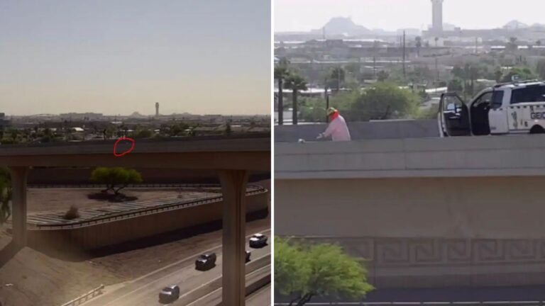Odd Little ‘Speck’ On Busy Highway In Arizona Makes One Driver Hit The Brakes And Rush Over