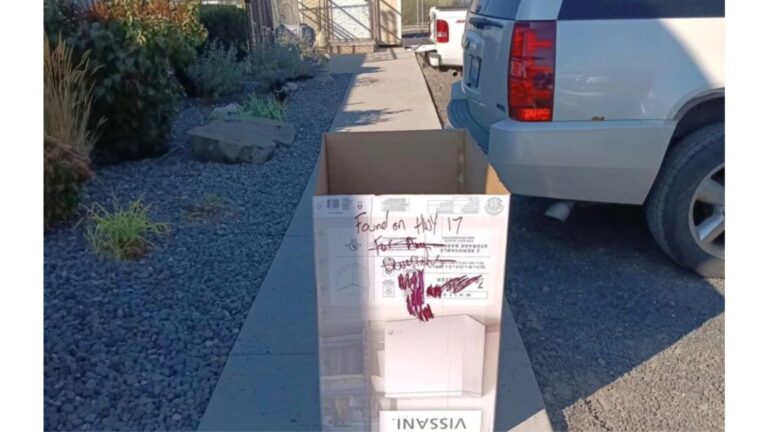 Box Labeled ‘Found On HWY 17’ Brings Washington Rescuers To Tears As They Move Closer