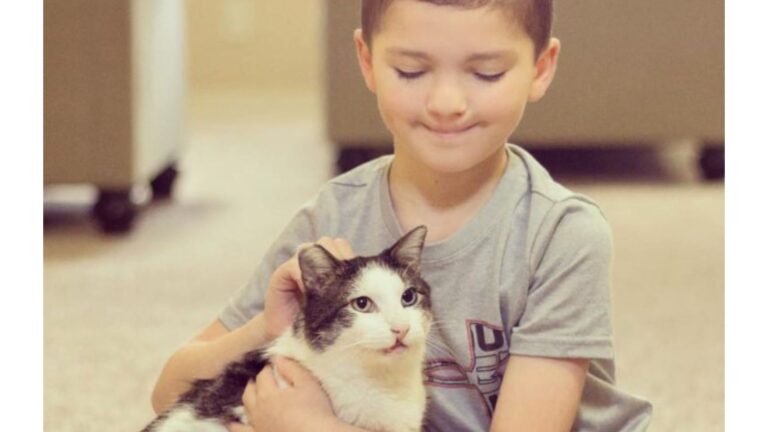 Boy In Oklahoma Meets Cat With Same Rare Traits And Something Magical Happens