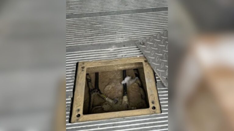 Illinois Man Hears Odd Sounds From His Truck And Makes A Heart-Wrenching Discovery