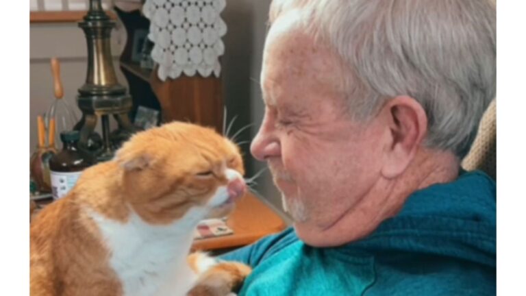 Florida Woman Shares How Her Cat Helped Her Father Through Cancer And It’s So Heartwarming