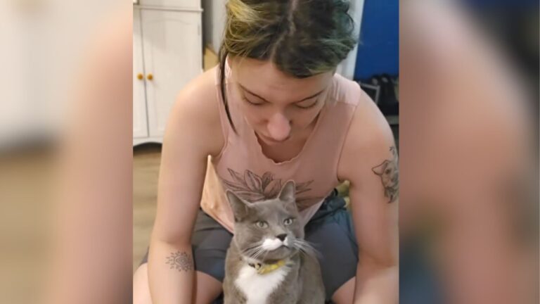 Cat In Oregon Says “No” To Owner And The Internet Can’t Stop Laughing