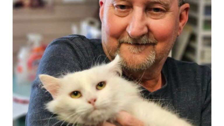Couple Adopts Cat From North Carolina Shelter, But Then Realizes They Made A Huge Mistake
