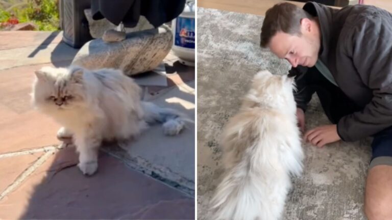Couple Buys Dream Home In Utah Only To Discover The Property Is Hiding A Big Surprise