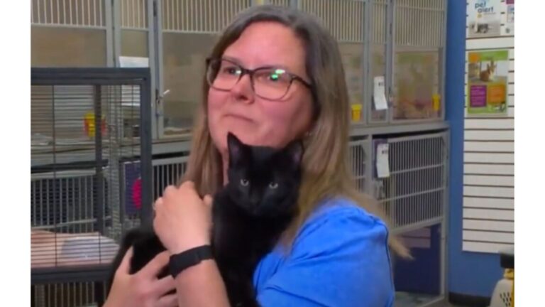 Delivery Driver Sees Cat Thrown From Moving Car In Iowa And Acts Immediately
