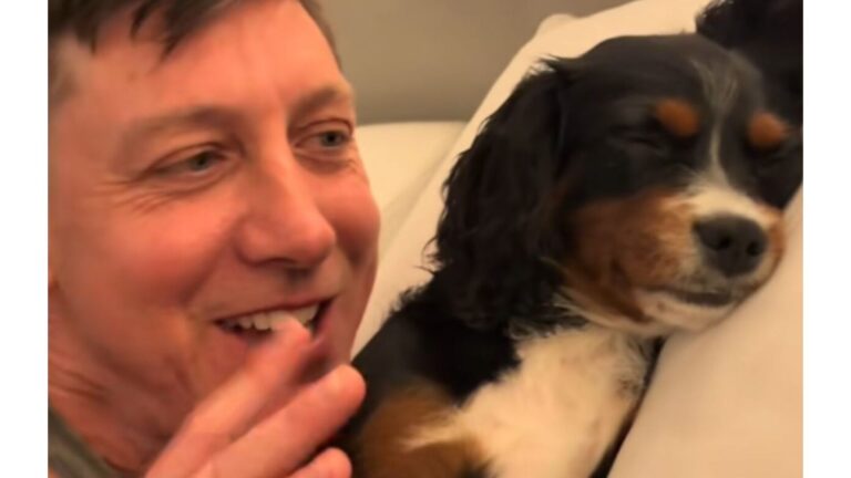 Florida Man Tries To Move His Dog To Her Own Bed, But She Gives An Oscar-Worthy Performance