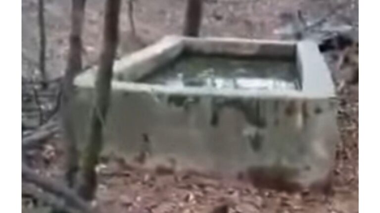 Georgia Man Hears Desperate Screams In The Woods, Then Looks Into Old Well And Freezes
