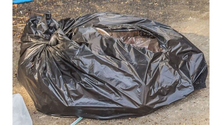 Driver Sees Trash Bag Thrown From Car In Pennsylvania, Then Realizes Something Is Moving Inside