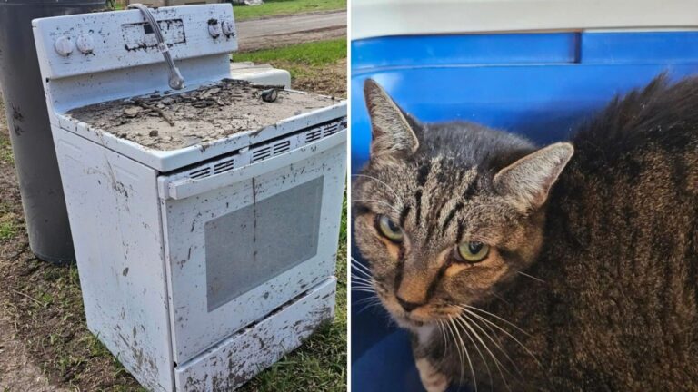 Texas Flood Aftermath Leads To Unexpected And Emotional Find Inside An Oven