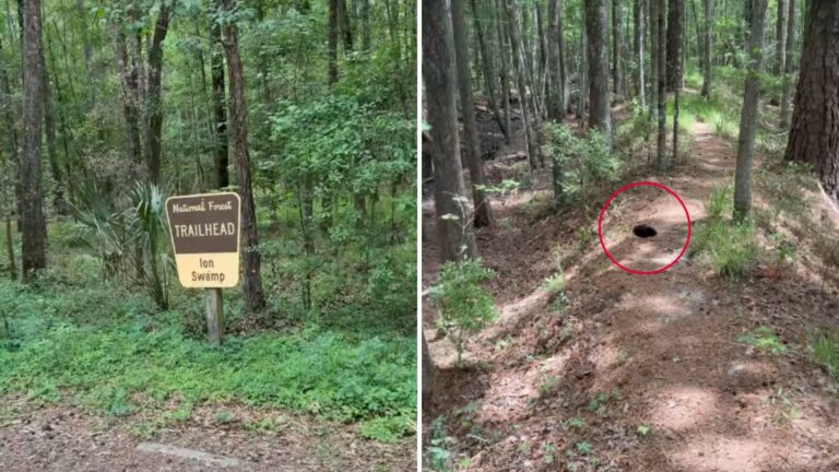 Guy Sees A ‘Black Void’ On Hiking Trail In South Carolina And Gets A Feeling Something Is Off