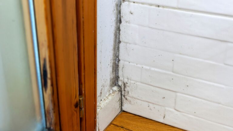 Philadelphia Contractor Hears Strange Sounds In Abandoned House, Then Checks Inside The Walls