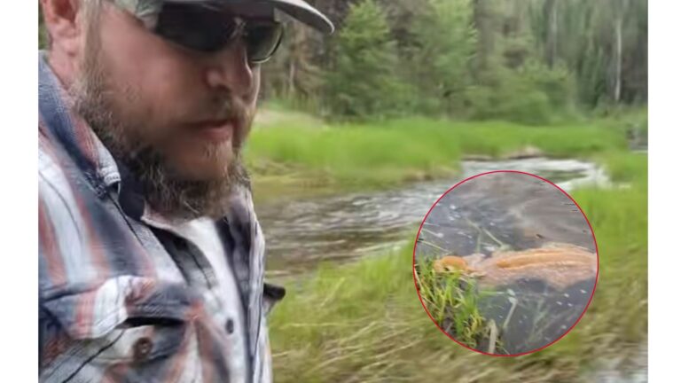Idaho Hunter Hears A Faint Sound By The River And Makes An Unexpected Discovery